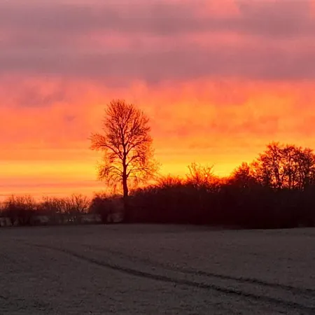 Mangelsen Appartement