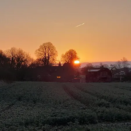 Mangelsen Appartement
