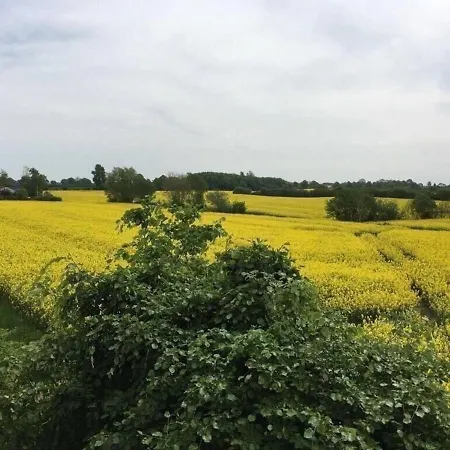 Mangelsen Appartement Gelting